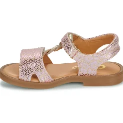 GBB - FARENA Rose New