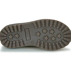 GBB - FIDOLIN Marron Best