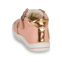 GBB - FLEXOO LOVELY Rose Best