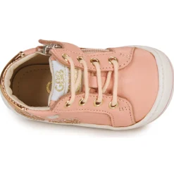 GBB - FLEXOO LOVELY Rose Best