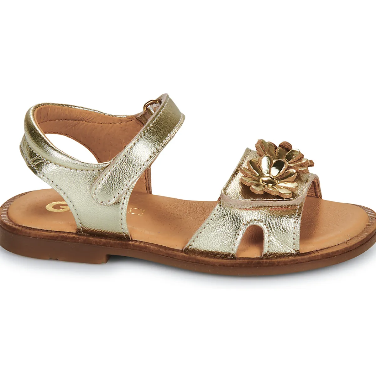 GBB - FLORABELLE Doré