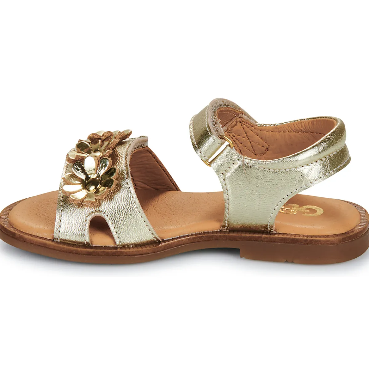 GBB - FLORABELLE Doré