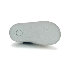 GBB - FOLLIO Marine Online