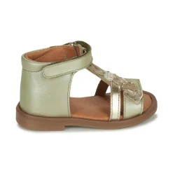 GBB - IGALE Vert Online