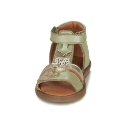 GBB - IGALE Vert Online