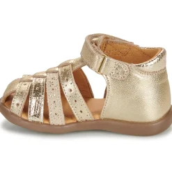 Discount GBB - JINETTE Doré