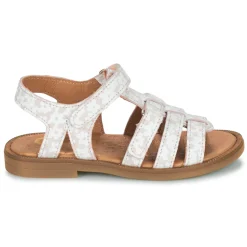 GBB - KATAGAMI Rose Best