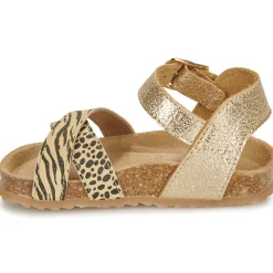 Online GBB - KLEMENCE Doré