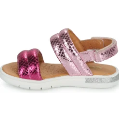 Discount GBB - LALA Rose