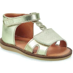 GBB - LORIE Doré Clearance