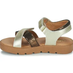 GBB - MYRTILLE Doré