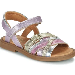 GBB - NATH Rose Best