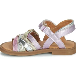 GBB - NATH Rose Best