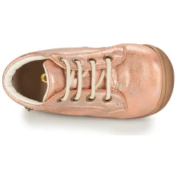 GBB - NICOLE Rose Sale