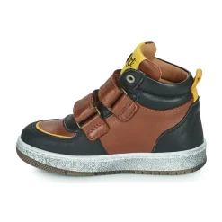 GBB - ODAFI Marron Sale