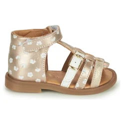 Best GBB - OLLIE Doré