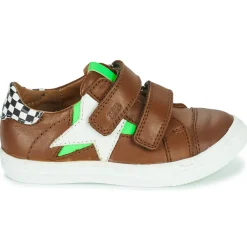 New GBB - ORSO Marron