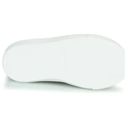 New GBB - ORSO Marron