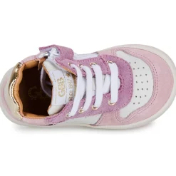 GBB - OSMAN TWIST Rose Sale