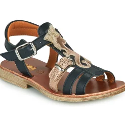 New GBB - PALOMA Marine