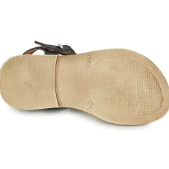 New GBB - PALOMA Marine