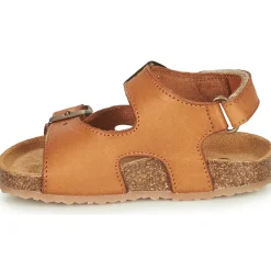 GBB - PARITO Marron Online