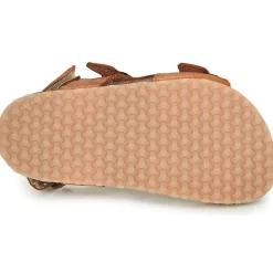 GBB - PARITO Marron Online