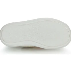 Hot GBB - PLACIDA Doré