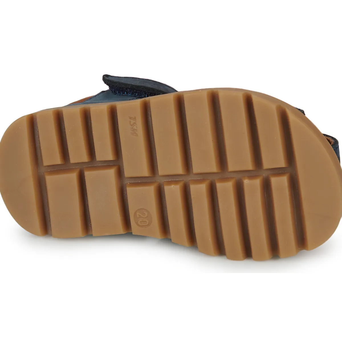 GBB - POLITO Bleu Best