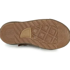 Online GBB - RAPIDO Marron