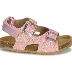 GBB - REBECCA Rose Sale