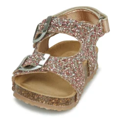 GBB - REBECCA Rose Best