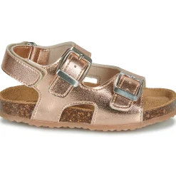 Hot GBB - REBECCA Rose