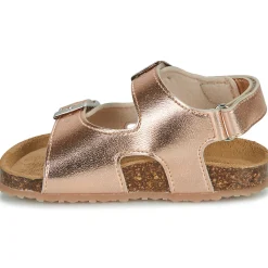 Hot GBB - REBECCA Rose