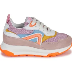 GBB - REINETTE Rose Online