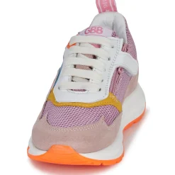 GBB - REINETTE Rose Online