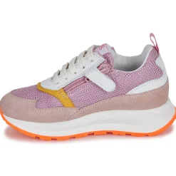 GBB - REINETTE Rose Online