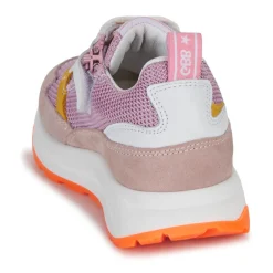 GBB - REINETTE Rose Online