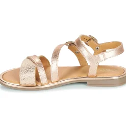 GBB - SERAPHINE Rose Best