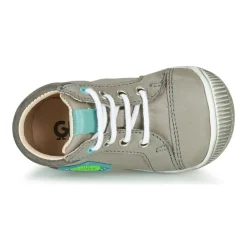 GBB - TARAVI Gris New