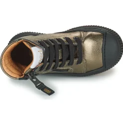 Online GBB - TREGIS Doré