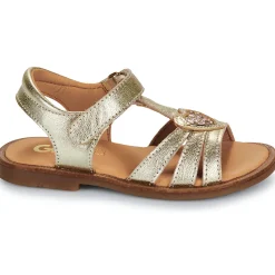 Best GBB - ZEALINE Doré