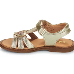 New GBB - ZEALINE Doré