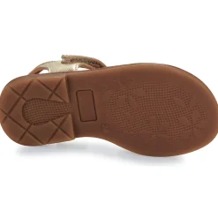 New GBB - ZEALINE Doré