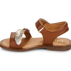 GBB - ZULMA Marron New