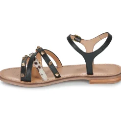 Sale Geox - D MADDALUSIAC Noir