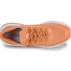 Outlet Geox - D SPHERICA ACTIF Pêche