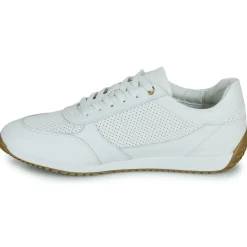 Geox - D36N0A05485C1000