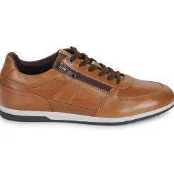Clearance Geox - U RENAN Marron