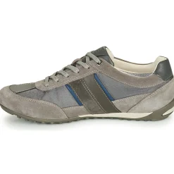 Geox - U WELLS C Gris Clearance